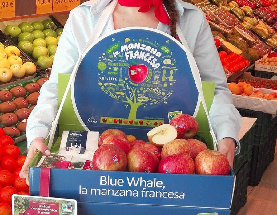 Las fruterías participantes en la promoción reciben un kit para decorar y llevar a cabo degustaciones animadas con azafatas Blue Whale.