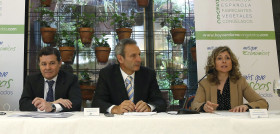 Según los datos dados a conocer por la Asociación Española de Fabricantes de Vegetales Congelados (Asevec), la producción de verduras y hortalizas congeladas sigue creciendo, mostrando su resisten