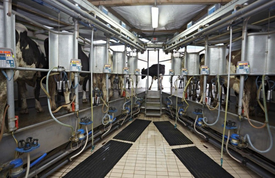 Las industrias firmantes del Acuerdo para la Estabilidad y Sostenibilidad de la cadena de valor del sector vacuno de leche ya han recibido las correspondientes instrucciones.