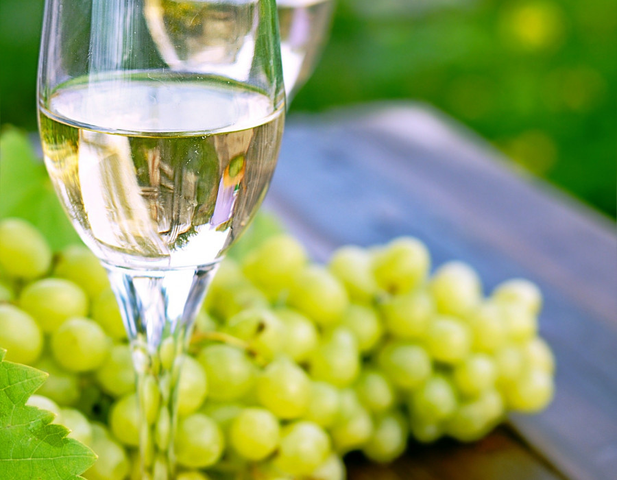El estudio detecta nuevos perfiles de consumidores, como los millenials, personas de  entre 21 y 33 años que ven el vino como un lujo asequible.