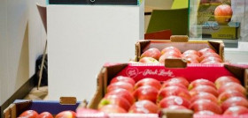 El VOG ha llevado a cabo una serie de iniciativas promocionales en Italia y España orientadas a proponer las Envy a mayoristas y supermercados.