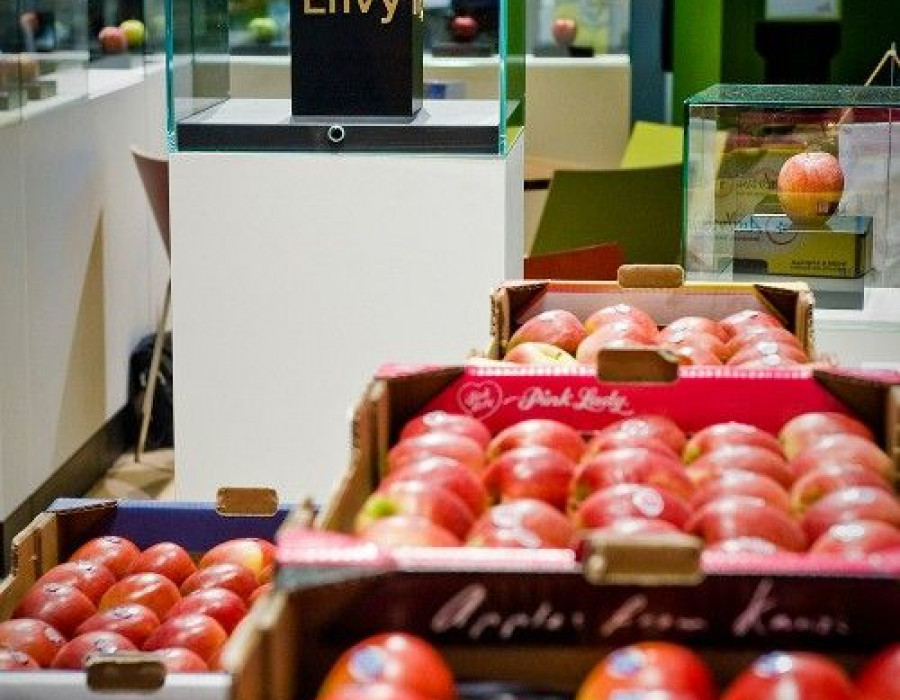 El VOG ha llevado a cabo una serie de iniciativas promocionales en Italia y España orientadas a proponer las Envy a mayoristas y supermercados.