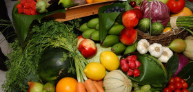 En promoción, en 2016, Fepex seguirá trabajando en fortalecer la feria internacional de frutas y hortalizas, Fruit Attraction.