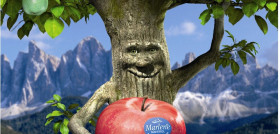 La marca de las manzanas recogidas por los socios del consorcio VOG estará en las ondas con el  anuncio de veinte segundos del Árbol Marlene.