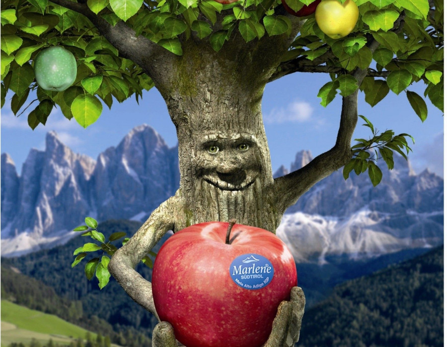 La marca de las manzanas recogidas por los socios del consorcio VOG estará en las ondas con el  anuncio de veinte segundos del Árbol Marlene.