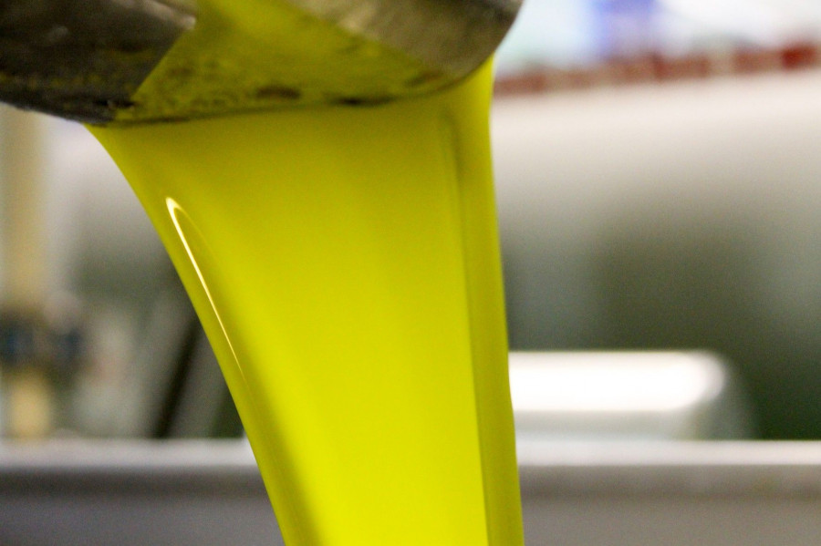 Aceites es una categoría básica en la cesta de la compra, y aunque la demanda de aceite de oliva se ha reducido cerca del 7%, se compensa con un incremento del consumo de otros tipos de aceite como 
