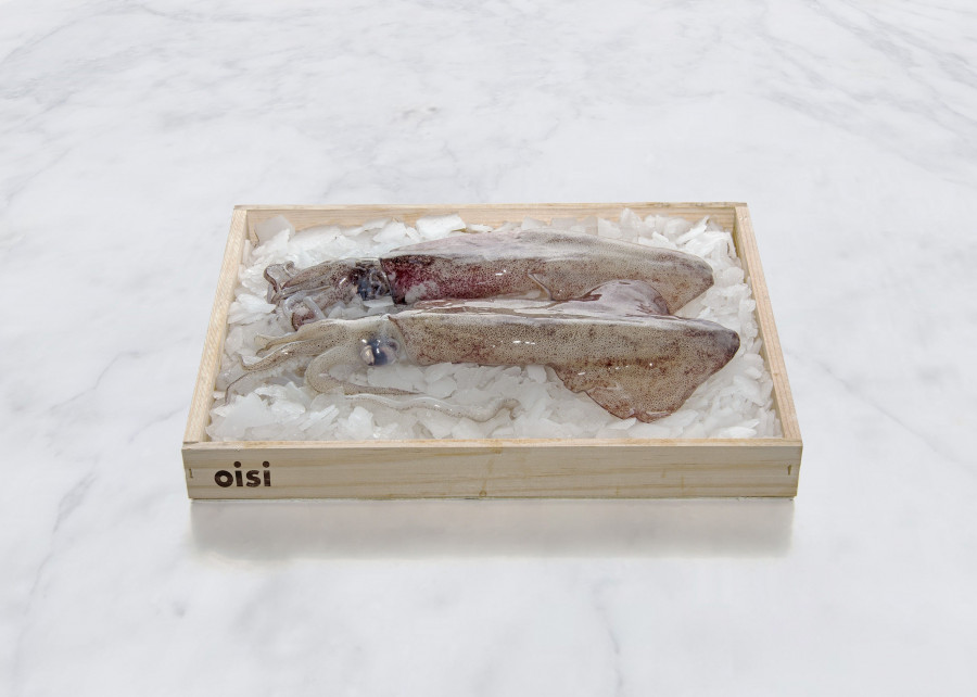 Oisi se dedica desde sus inicios a la comercialización de productos alimenticios provenientes del mar.