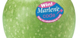 Las manzanas Marlene llevan la pegatina especial dedicada al concurso.