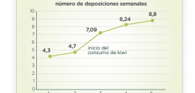 El alto contenido en fibra del kiwi verde está asociado a sus  beneficios sobre el ritmo intestinal y el estreñimiento.