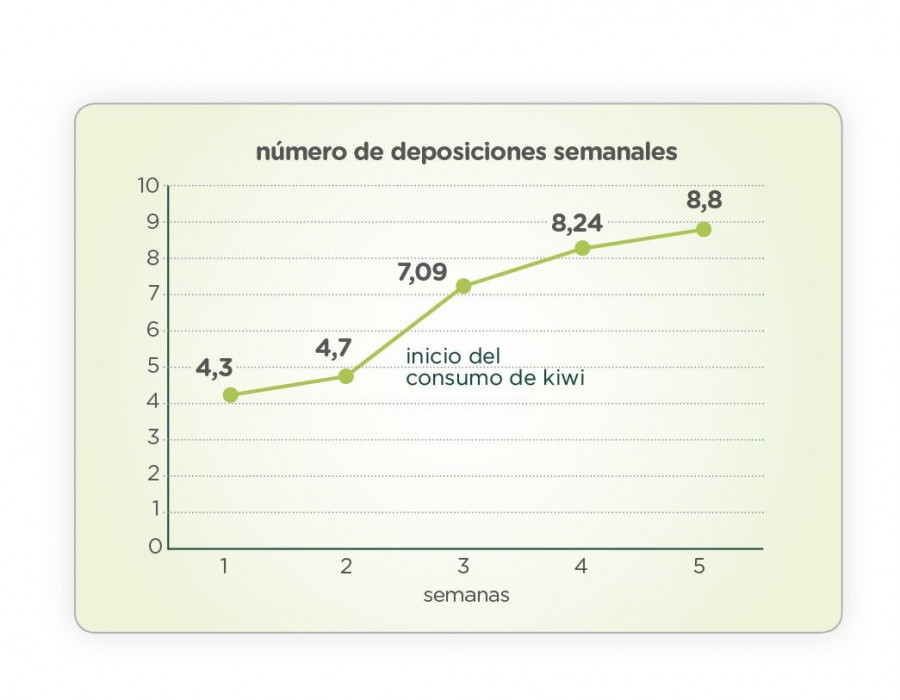 El alto contenido en fibra del kiwi verde está asociado a sus  beneficios sobre el ritmo intestinal y el estreñimiento.
