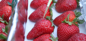 El sistema OXYION de higienización y protección de frutas y hortalizas frescas no genera residuos químicos.