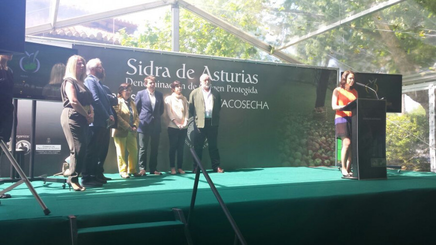 Imagen de la presentación de la nueva cosecha 2014 DOP y VI Salón de la Sidra DOP.