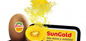 Zespri SunGold es el kiwi amarillo de Zespri.