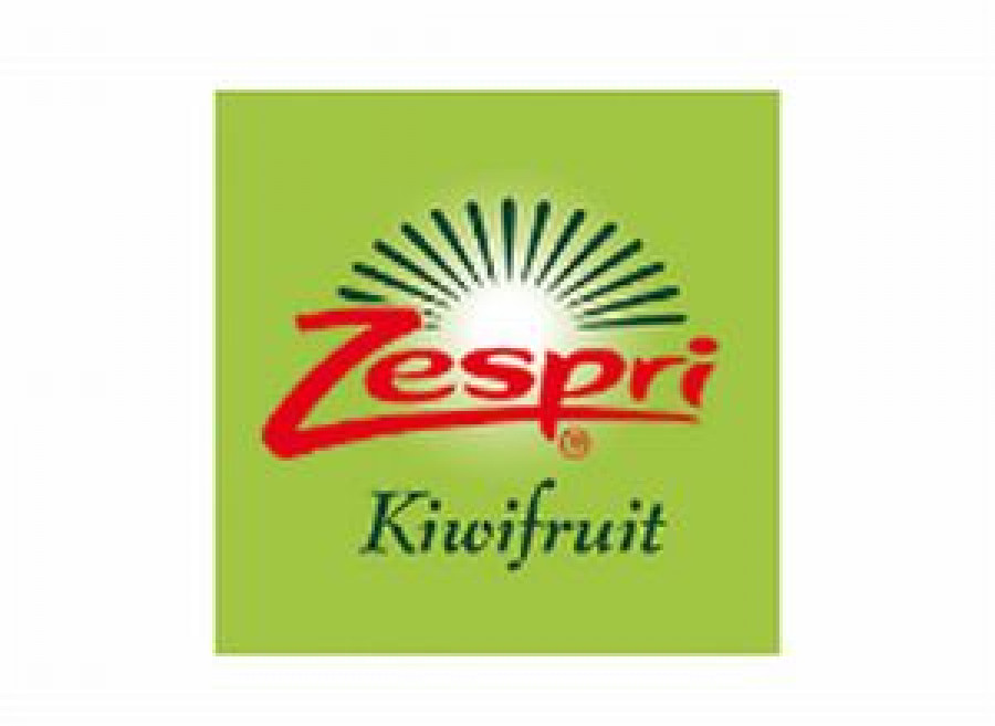 El kiwi aporta una importante dosis de vitalidad gracias a su alto contenido en vitamina C.