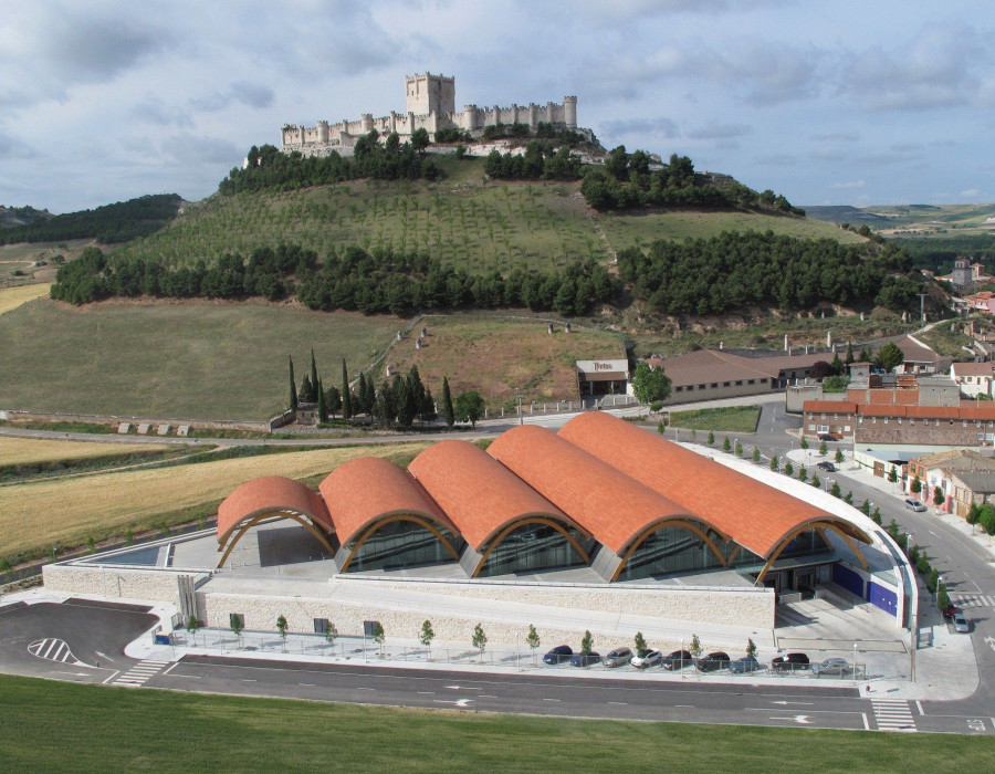 Bodegas Protos registra en 2014 un nuevo récord de ventas y beneficios por quinto año consecutivo.