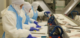 En 2014, la compañía ha realizado inversiones por valor de 1 millón de euros.