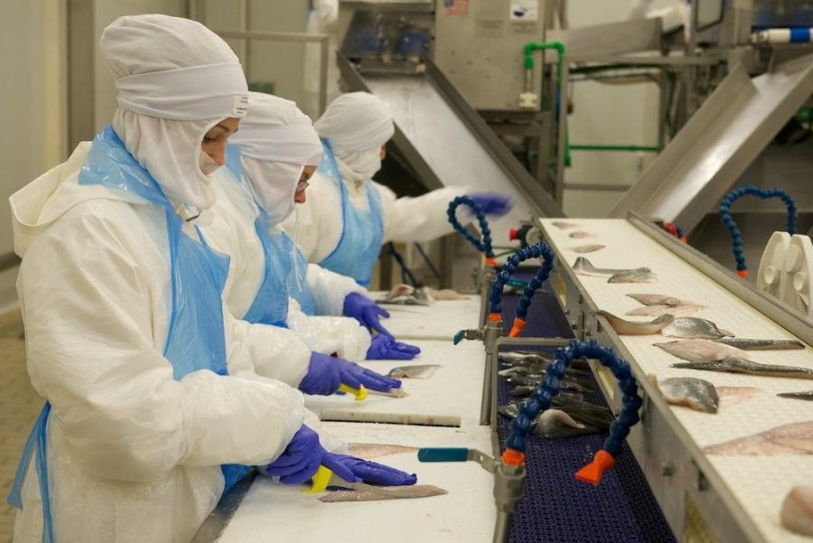 En 2014, la compañía ha realizado inversiones por valor de 1 millón de euros.