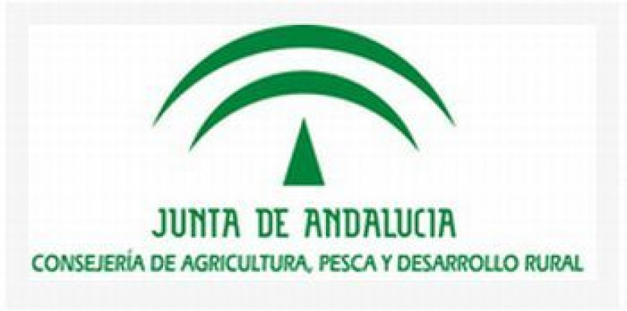Andalucía exportó productos por valor de 8.312,4 millones de euros.