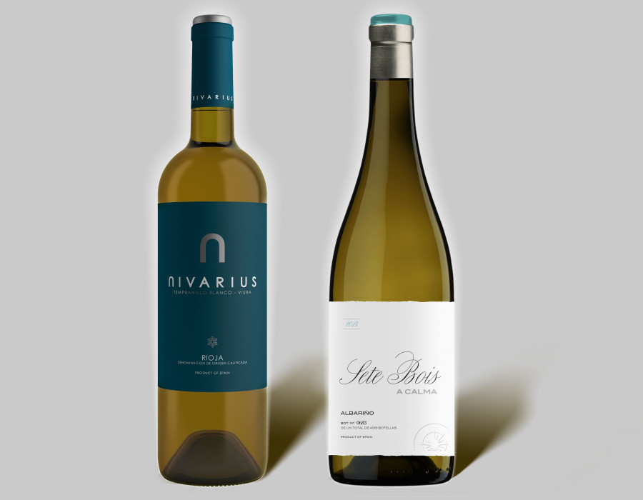 Bodegas Proelio, nueva bodega del grupo Palacios Vinoteca en La Rioja.