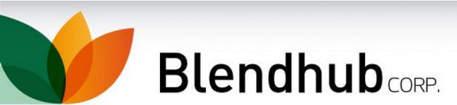 Blendhub pone en marcha su primer Plan de Igualdad.