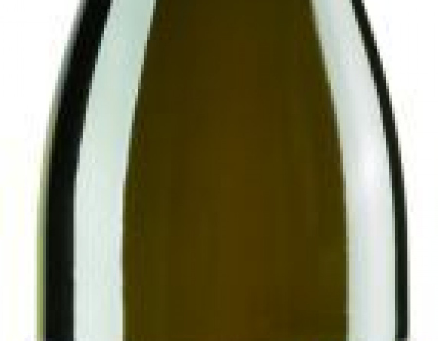 Botellagodello 3247