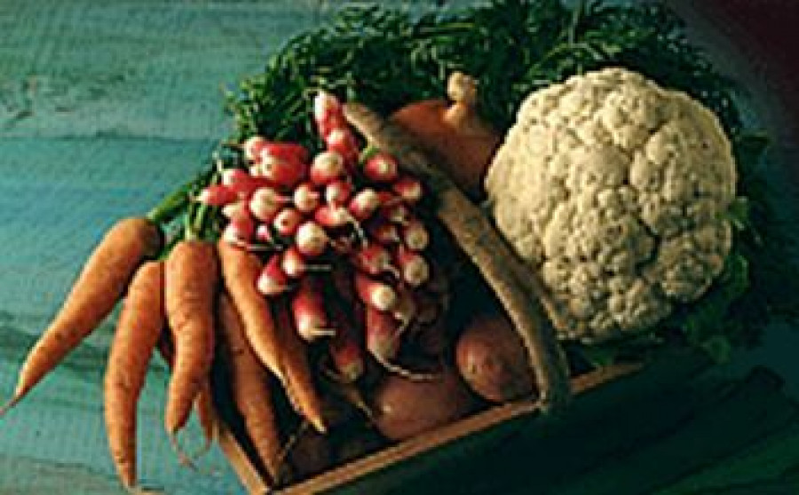 Magrama ecologicos 3239