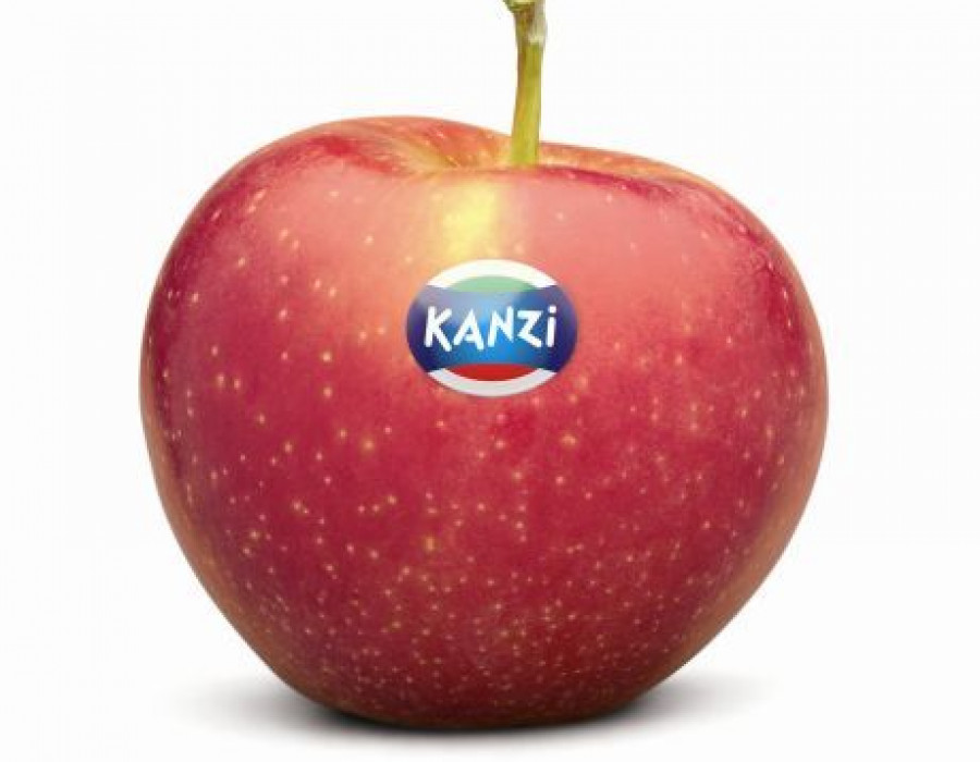 Kanzi 3204