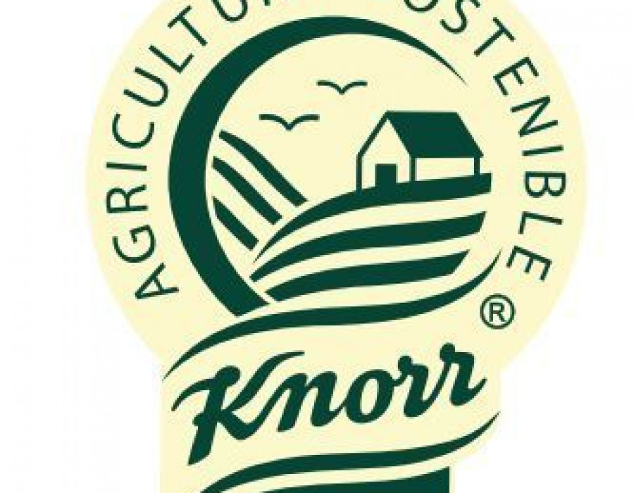Knorr 3180