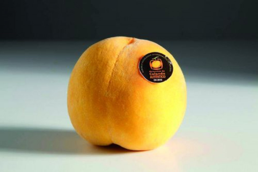 Calanda melocoton 3176
