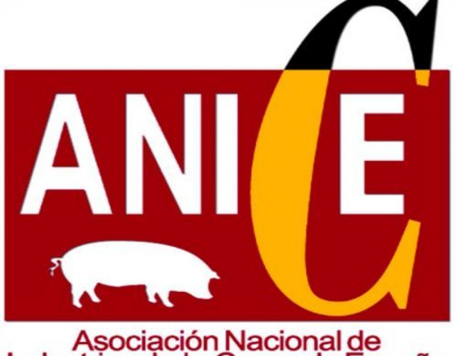 Anicelogo 3124