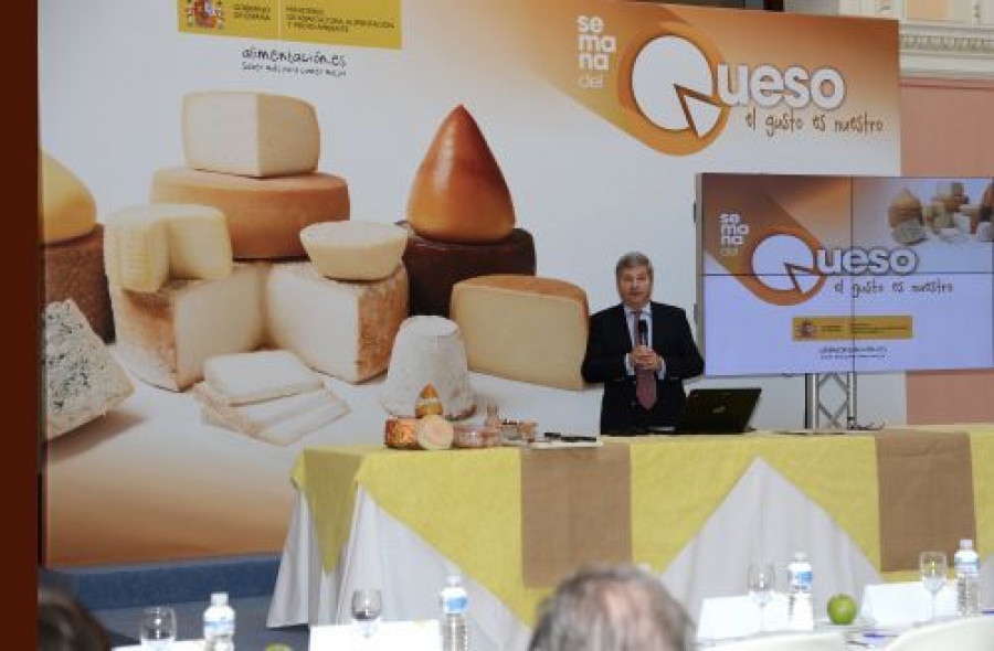 Burgaz queso 3119