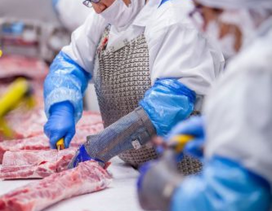 Martinezloriente carne 3107