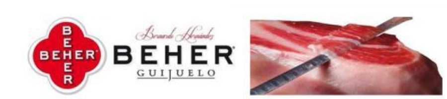 Beher 3111