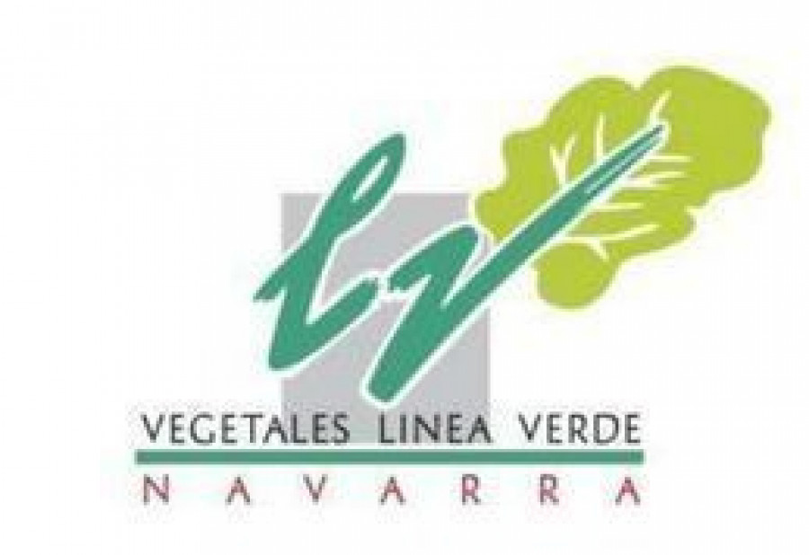 Vegetaleslineaverde 3101