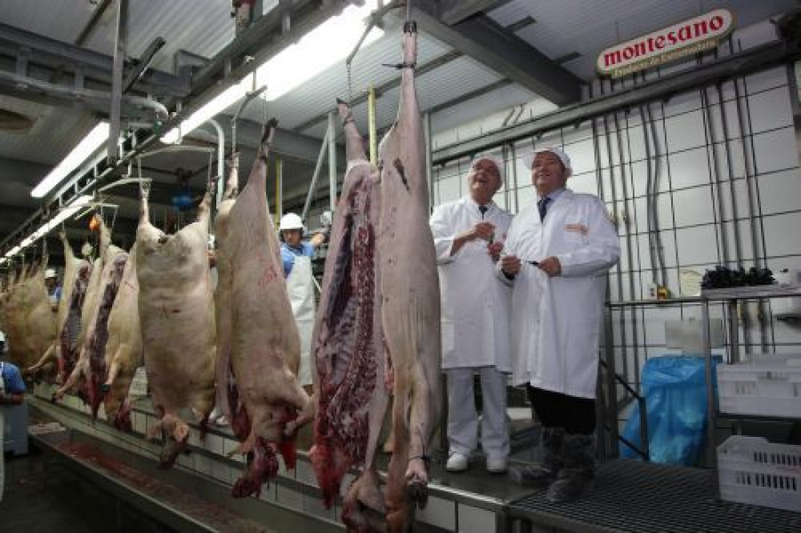 Burgaz ibericos 3034