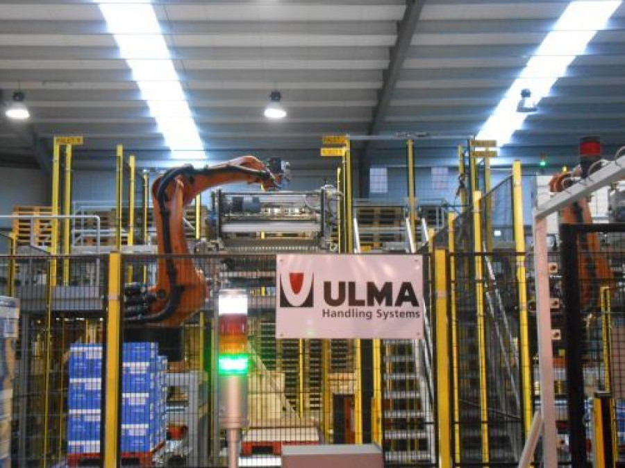 Friscos ulma 2994