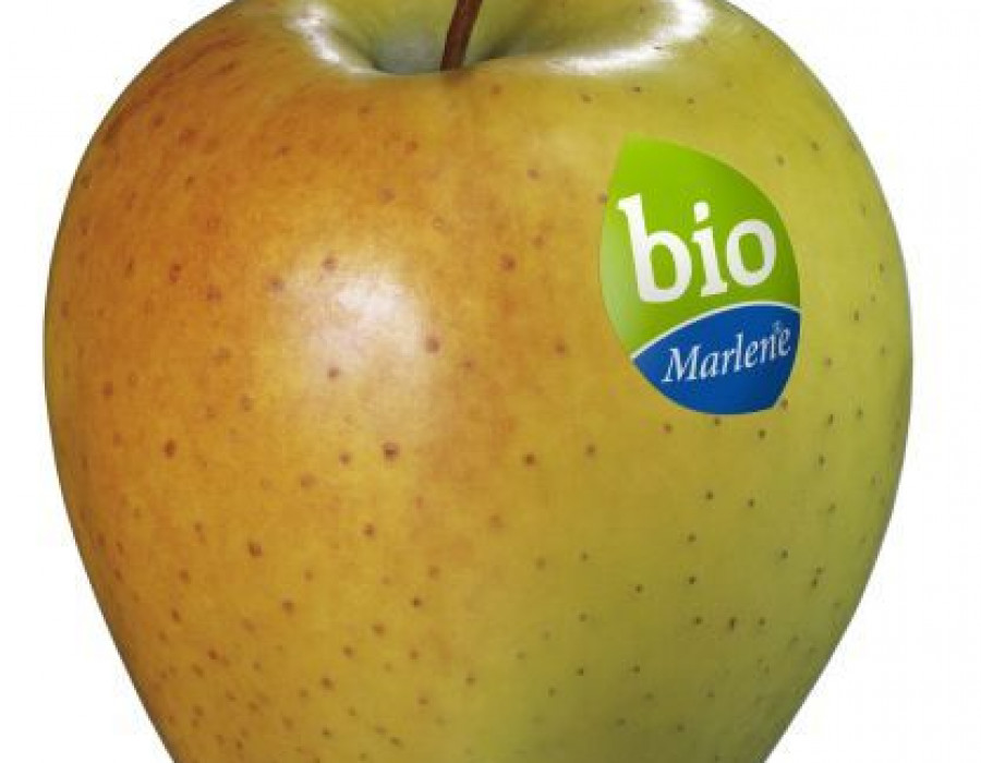 Bio marlene 2980