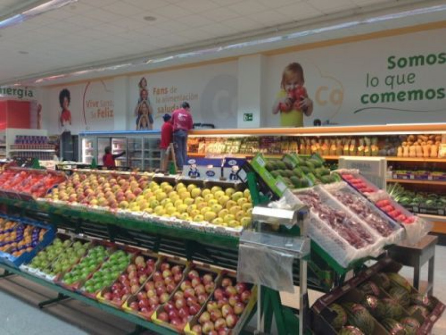 Coac tienda 2991