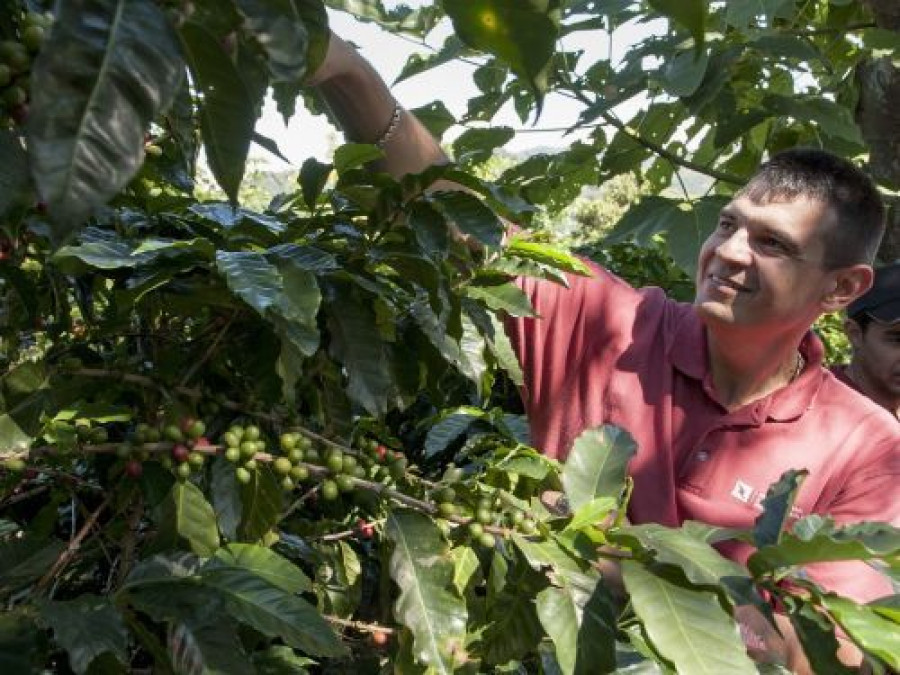 Nespresso agronomist 2934