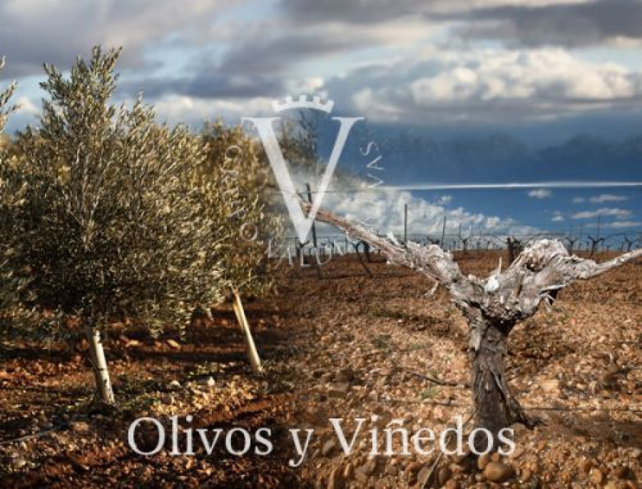 Valdecuevas 2906