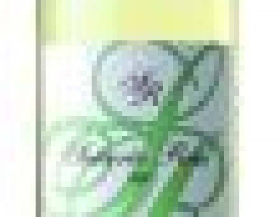 Vino1makrook