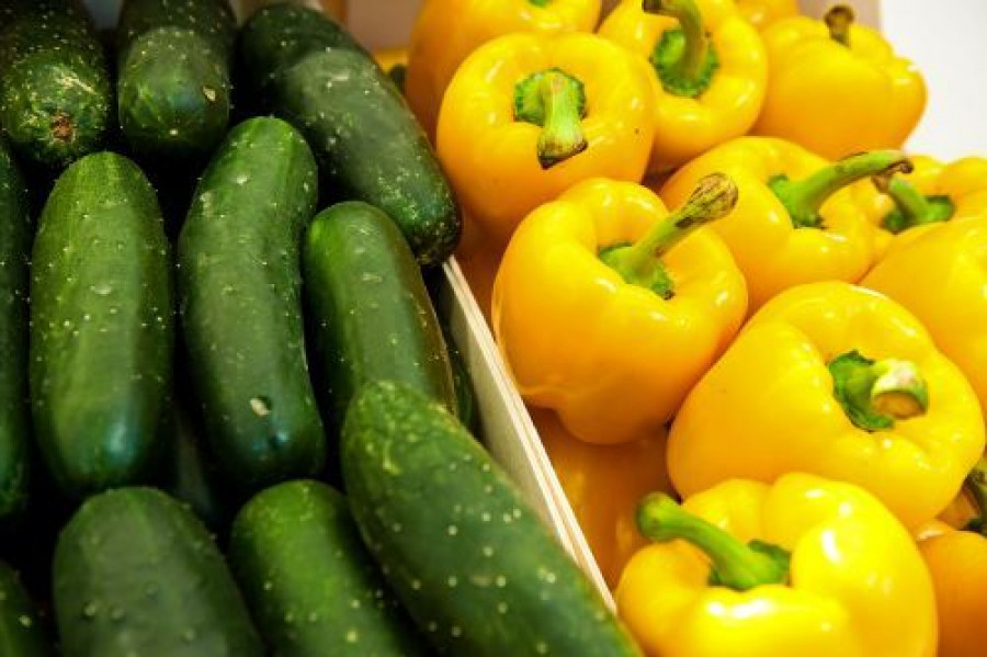 Alimentos