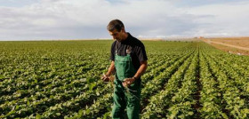 La nueva imagen de la compañía homenajea a los cultivadores españoles.