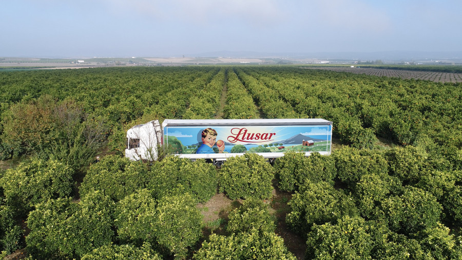 LLUSAR CAMIO EN HORT