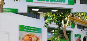 Jerez de la Frontera (2)