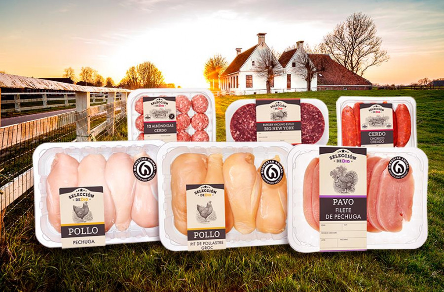 Carnes