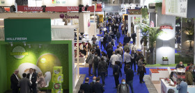 Foto para abrir  Feria 024