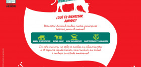 FOTO APERTURA El Ventero Bienestar Animal (1)