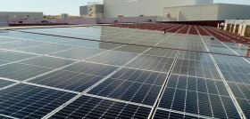 Grupo Tello planta foto low (1)