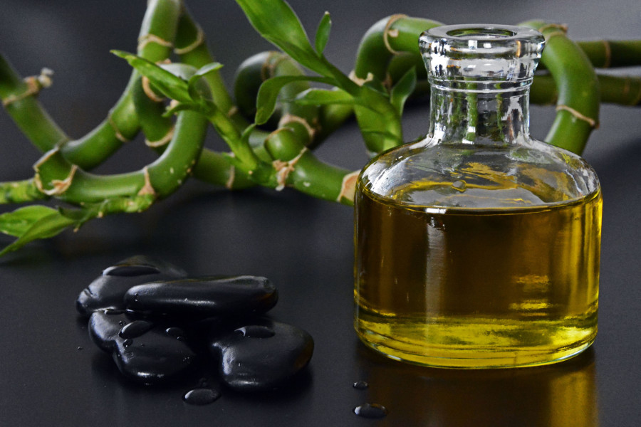 Nature branch liquid plant wood green 1411700 pxhere
